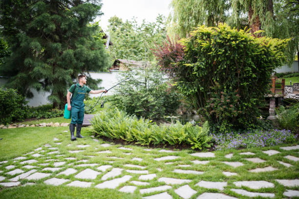 Professional Pest Control in Minden, NE